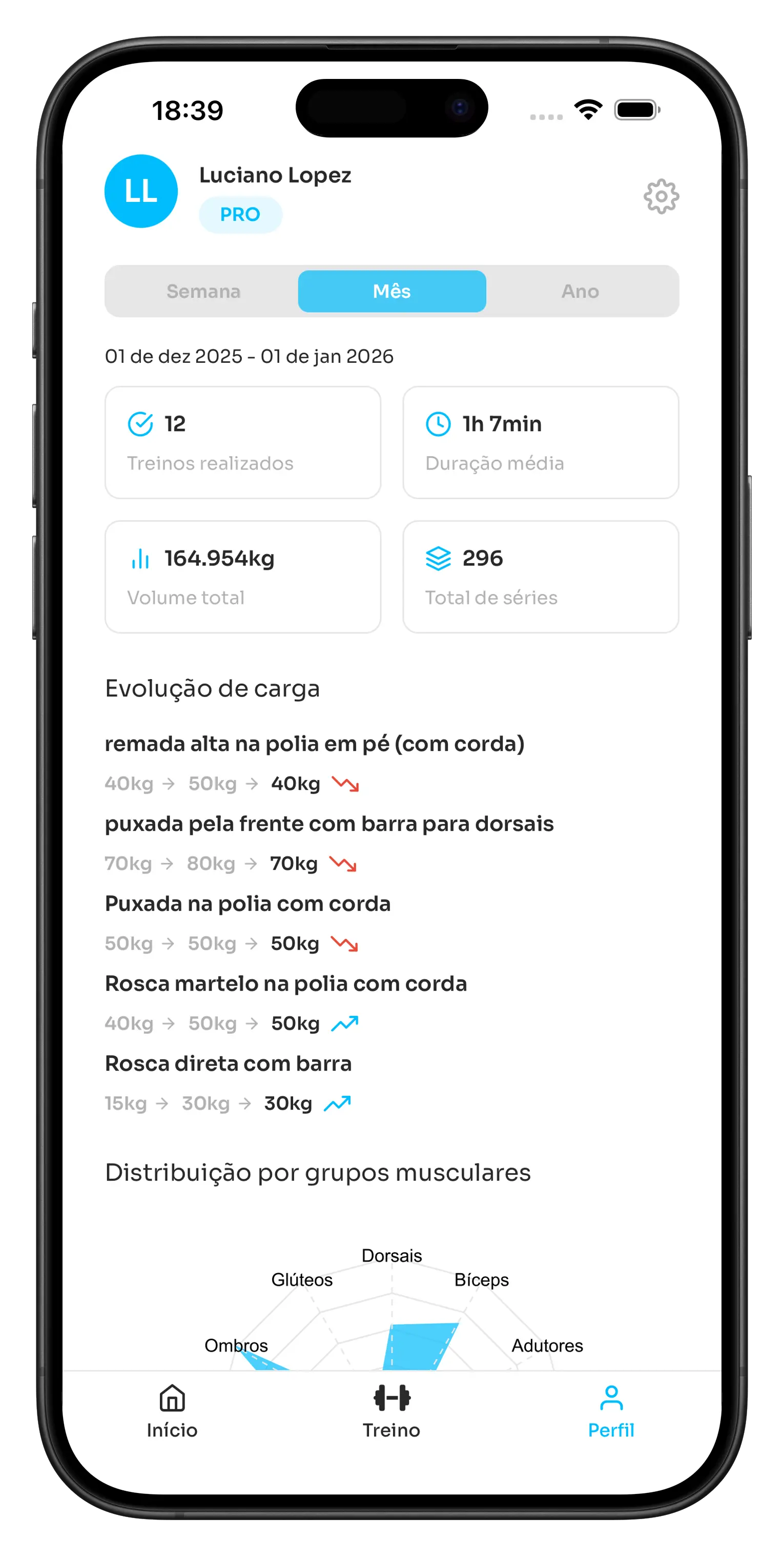 Histórico de treinos do +1 Treino mostrando evolução de carga e volume